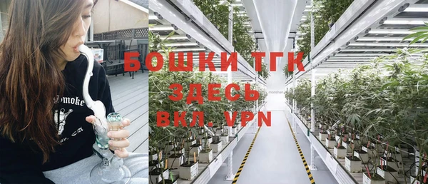 не бодяженный Горно-Алтайск