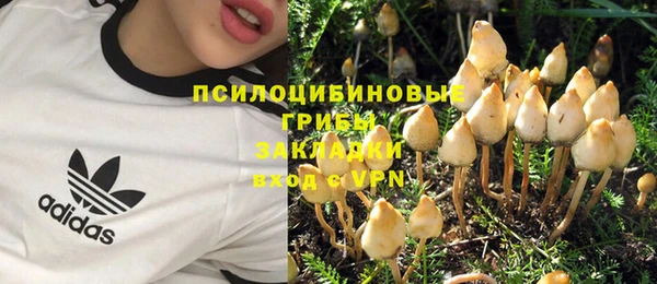 не бодяженный Горно-Алтайск