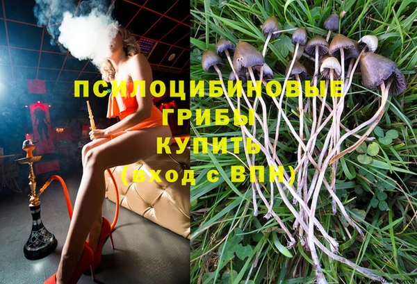 не бодяженный Горно-Алтайск
