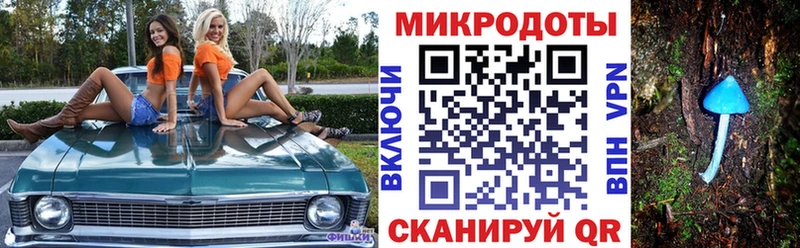 Псилоцибиновые грибы MAGIC MUSHROOMS  купить наркоту  Владимир 